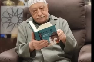 Gulen