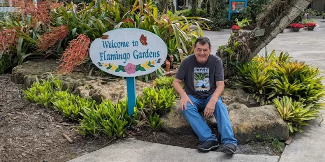 Flamingo Gardens