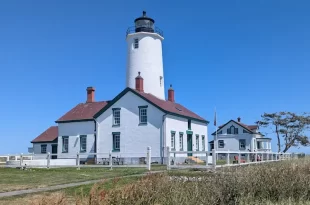 Faro Dungeness