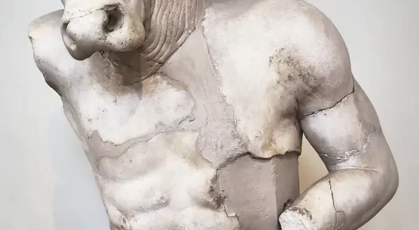 Minotauro