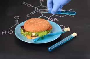 Hamburguesa