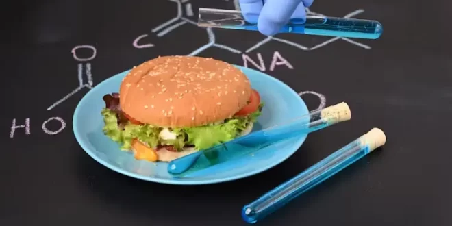 Hamburguesa