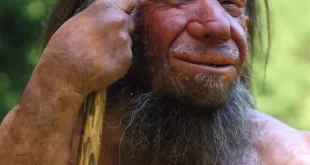 Neandertal