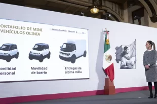 Olinia