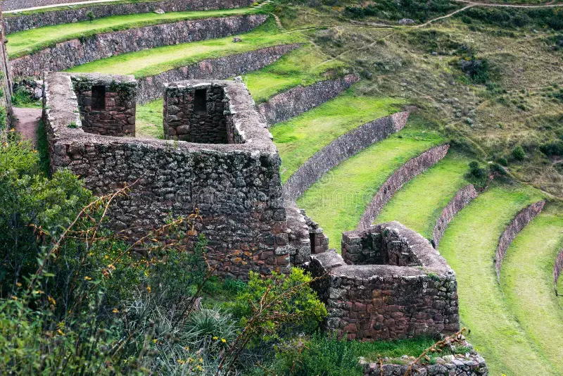 Incas