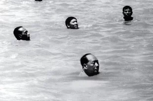 Mao