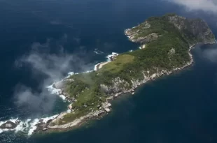 Queimada Grande