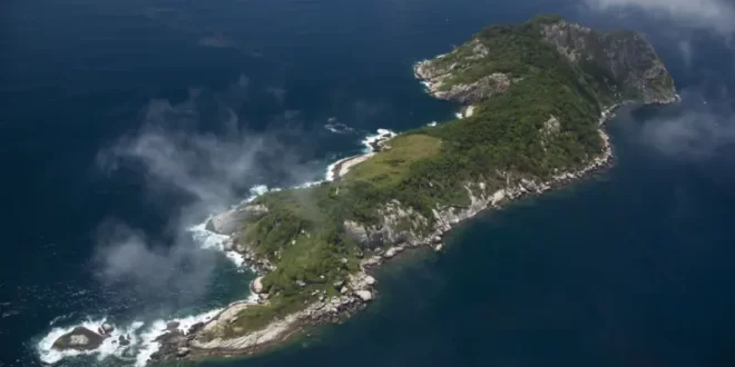 Queimada Grande