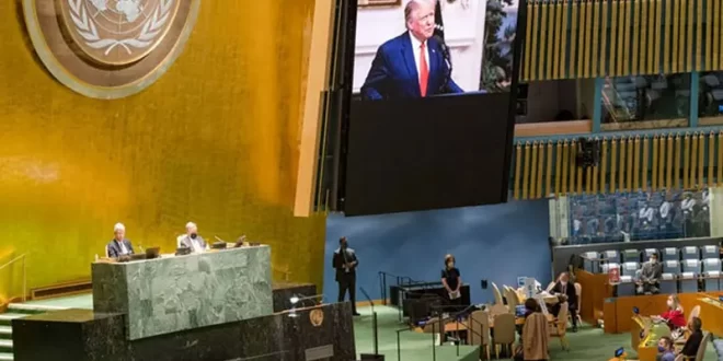 onu