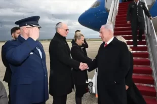 Bibi