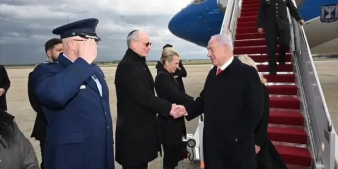 Bibi