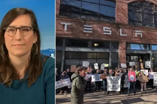 Tesla Takedown