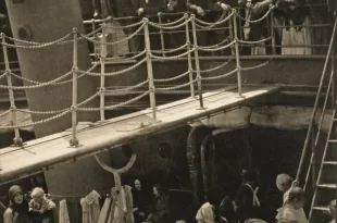 The Steerage