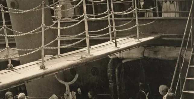 The Steerage