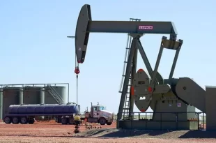 Petróleo