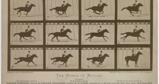 Caballo