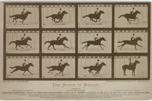 Caballo