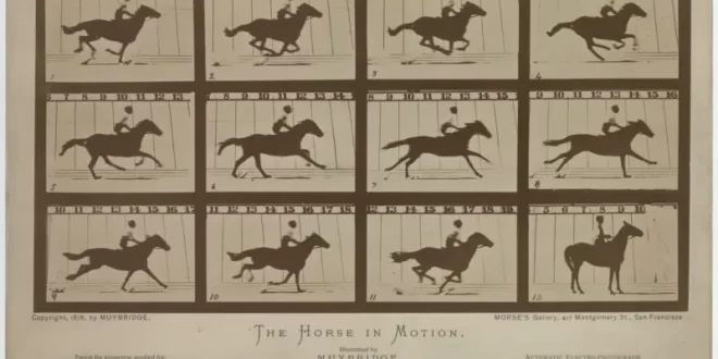 Caballo