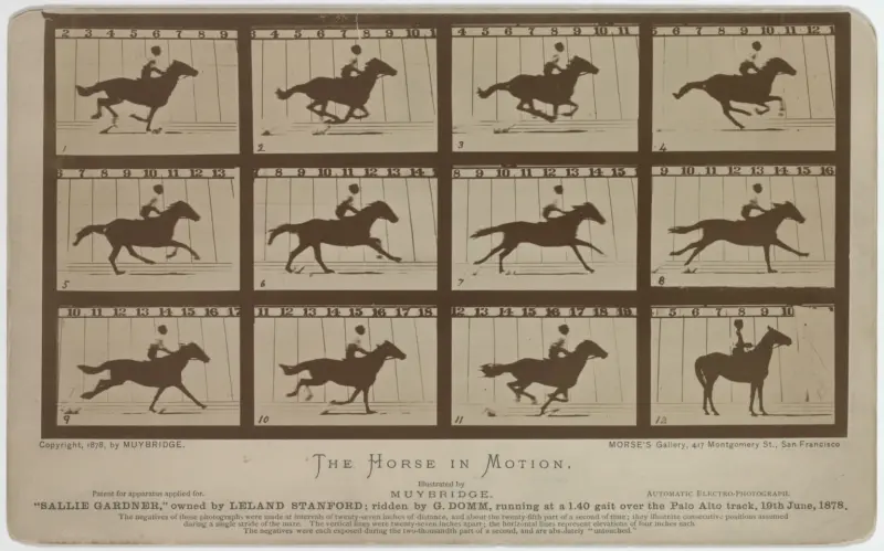 Caballo