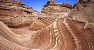 The Wave