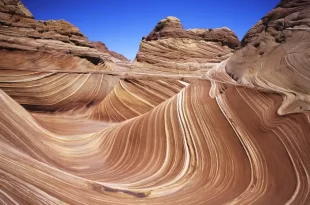 The Wave
