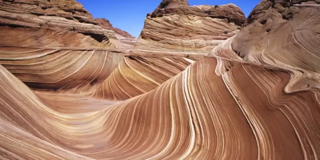 The Wave