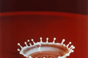 Gota de leche