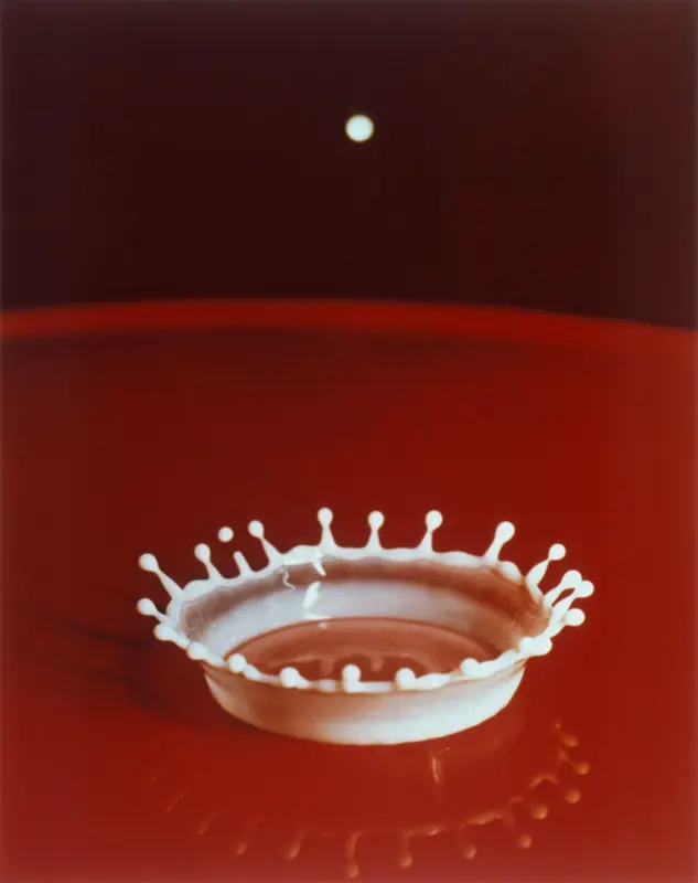 Gota de leche