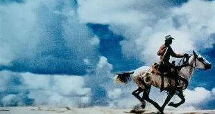 Cowboy