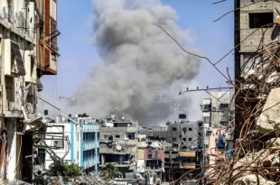 Gaza