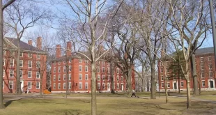 Harvard