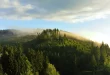 Harz