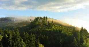 Harz