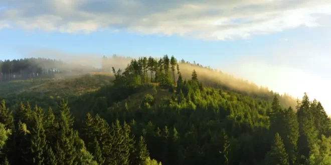 Harz