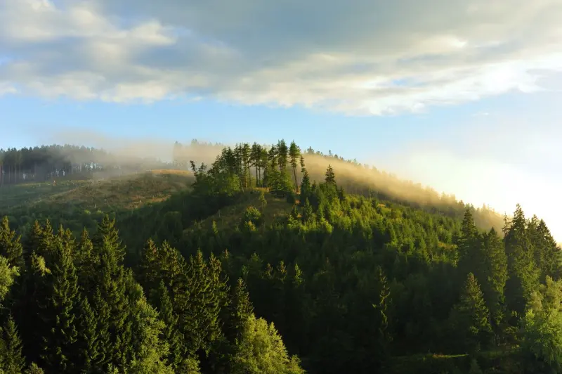 Harz