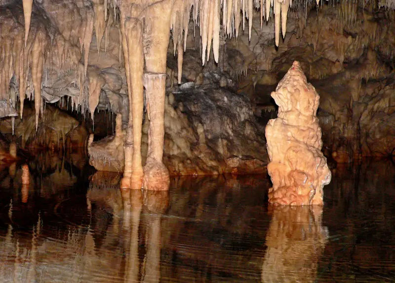 Alepotrypa