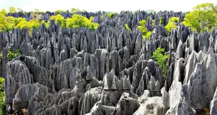 Tsingy de Bemaraha
