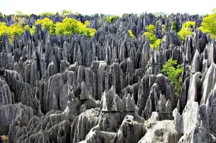 Tsingy de Bemaraha