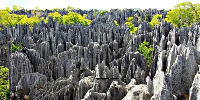 Tsingy de Bemaraha