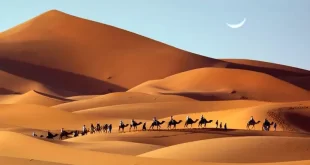 Dunas