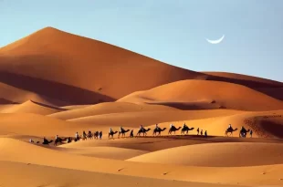 Dunas