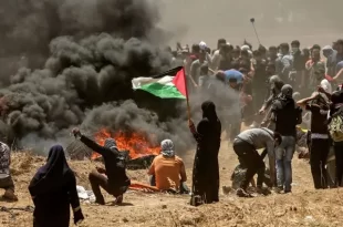 Gaza