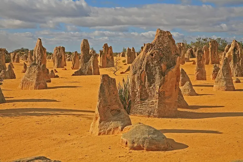 Los pináculos