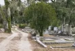 Cementerio Bonaventure