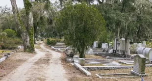 Cementerio Bonaventure