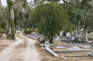 Cementerio Bonaventure