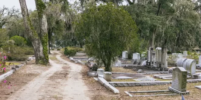 Cementerio Bonaventure