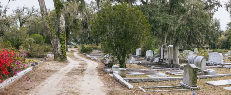 Cementerio Bonaventure