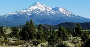 Monte Shasta