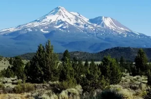 Monte Shasta